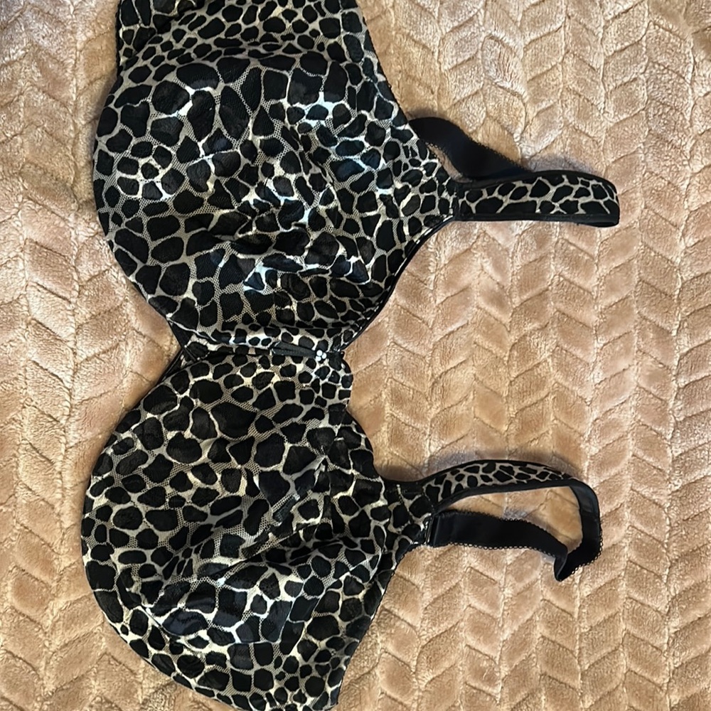 Bra from Nordstrom